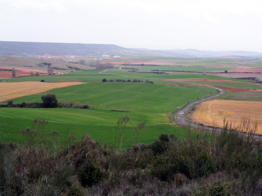 File:Malaguilla Countryside view.jpg