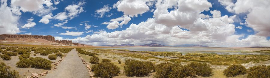 Salt and desert landscape in northern Chile