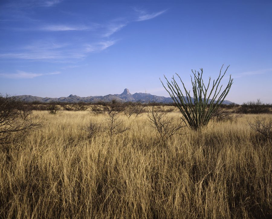 Landscape in the Buenos Aires National Wildlife Refuge in southern Arizona