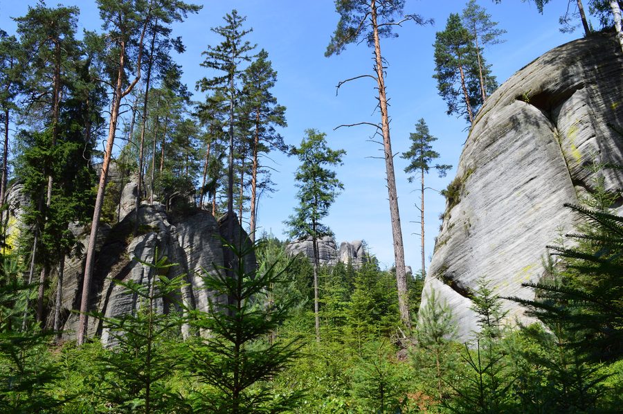 Sandstone rocks in the Adršpach-Teplice Rocks in the Czech Republic