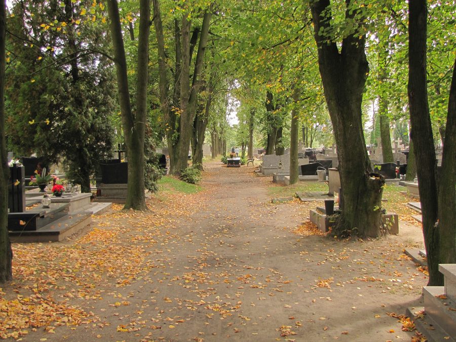 Teil des historischen Pfarrfriedhofs der St.-Martins-Pfarrei im ehemaligen Zemborzyce Kościelne in Lublin