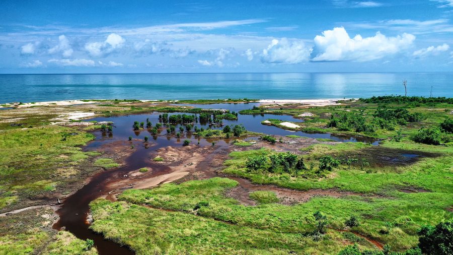 Mangroves in Gabon