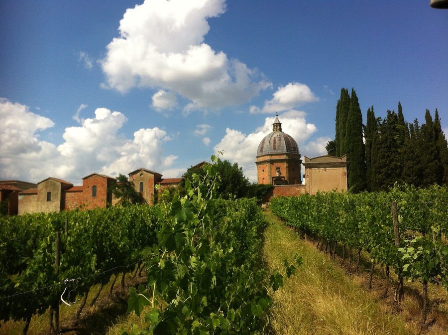Temple Santo Stefano della Vittoria in Pozzo della Chiana in front of the vineyards