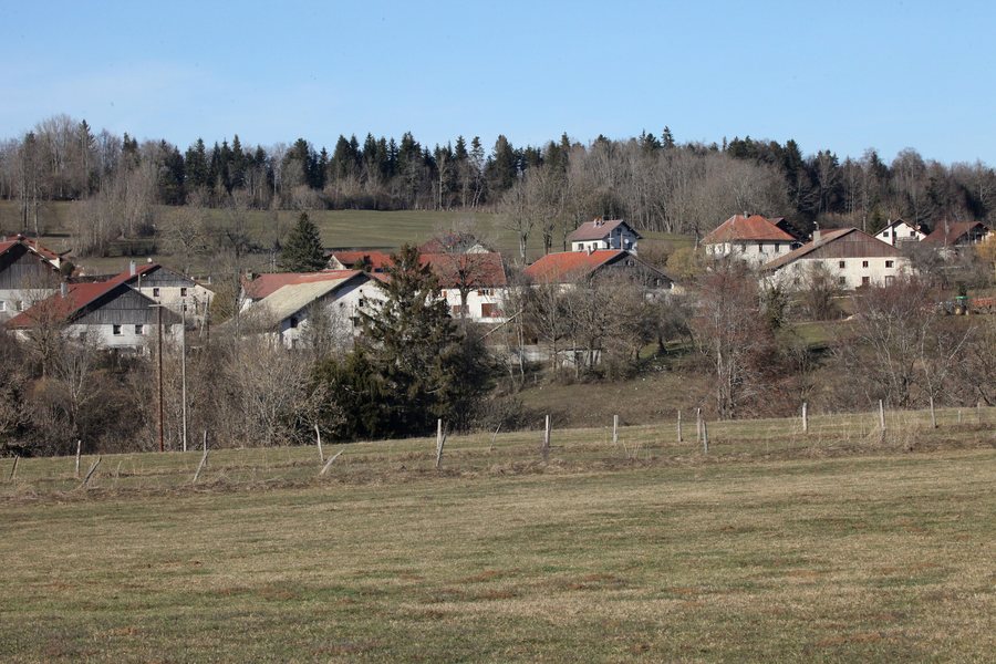 File:Montbéliardot - img 49944.jpg