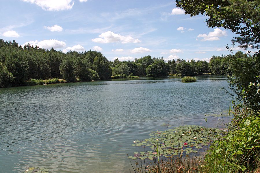 Gravel lake near Vierhöfen on the eastern edge of the Lüneburg Heath