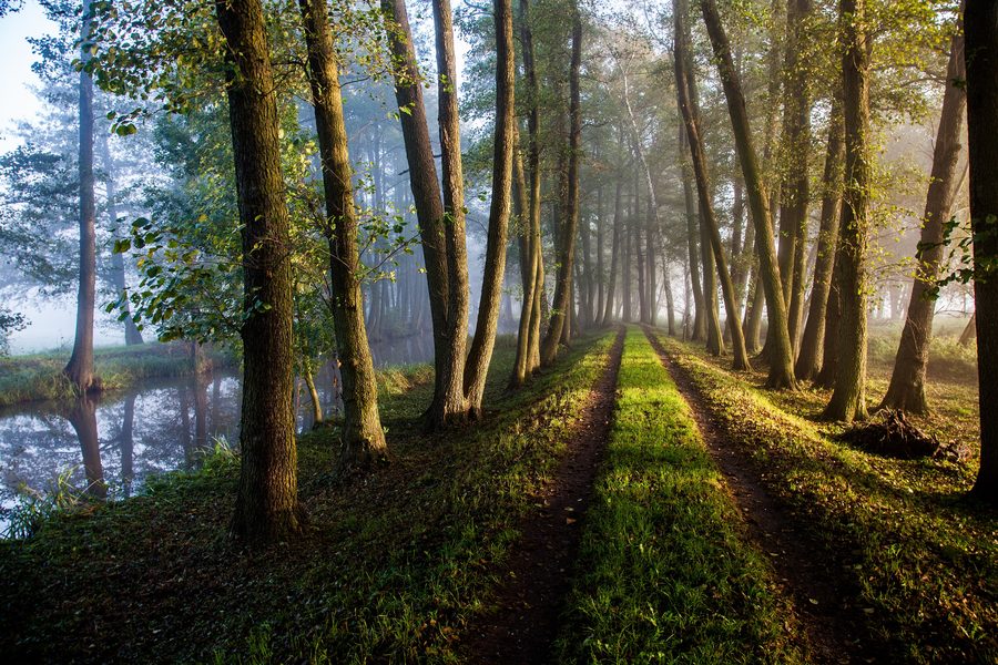 Cycling tours on the Cucumber Cycle Route in the Spreewald