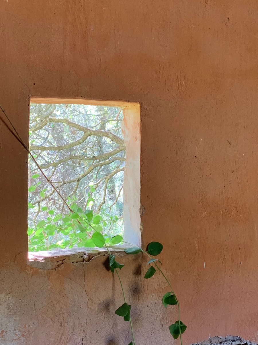 File:Finestra Estopiñán del Castillo, Espanya Jun 02, 2019 05-06-58 PM.jpeg