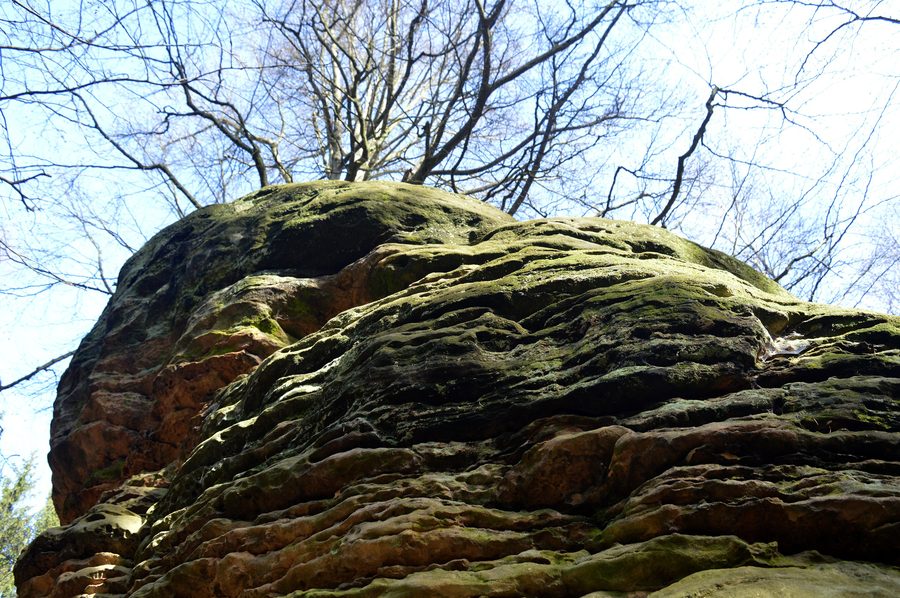 Rock formations at the Bodensteiner Klippen in the Bodensteiner Klippen and Klein Rhüdener Holz landscape conservation area