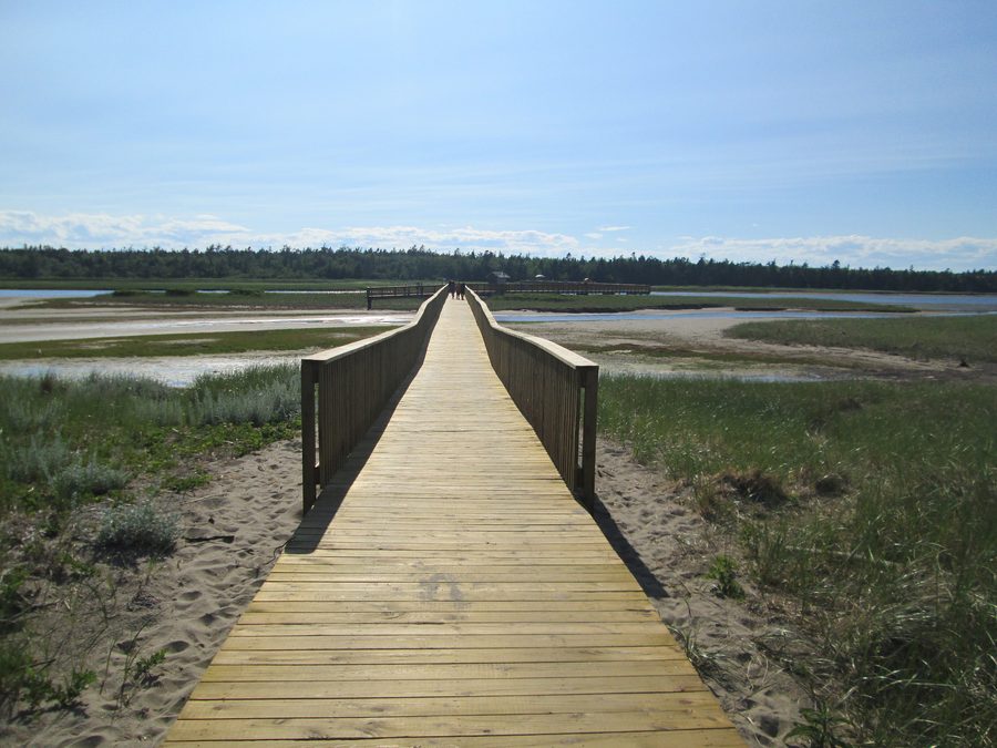 Boardwalk in Kouchibouguac National Park in New Brunswick