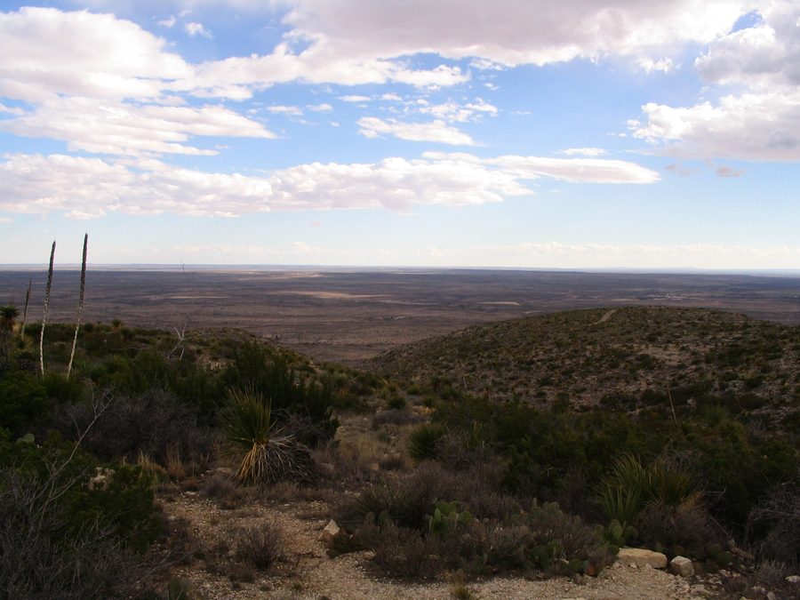 Ausblick vom Besucherzentrum im Carlsbad-Caverns-Nationalpark in New Mexico
