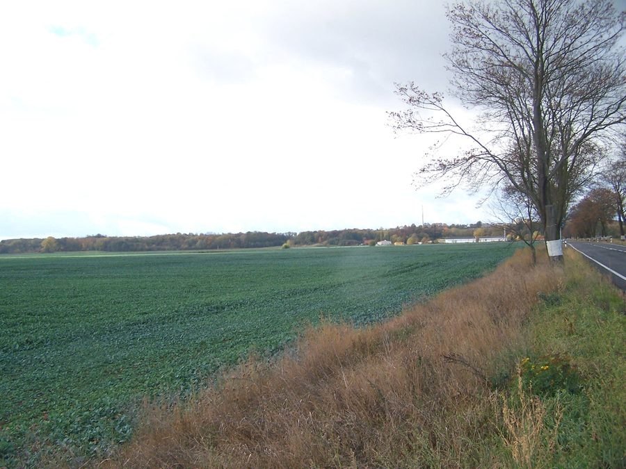 View from the east of the ridge near Seelow in the Oderbruch