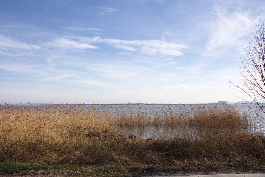 Landscape protection area Lake Steinhude near Mardorf in Lower Saxony