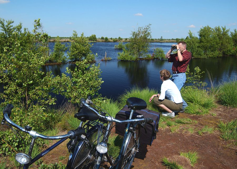View over Bourtanger Moor-Bargerveen