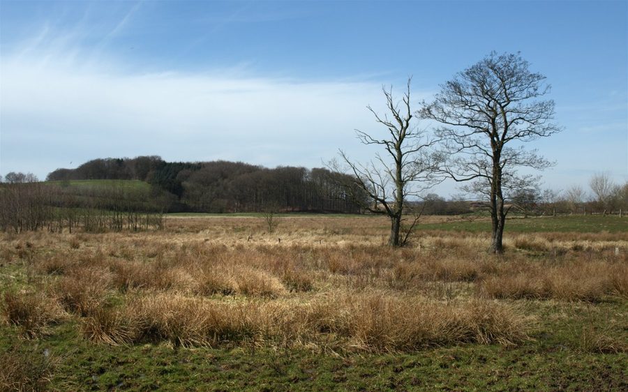 Valley of the upper Eider in Schleswig-Holstein