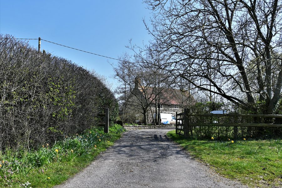 Ländliche Szenerie an der Marsh Lane in Horsington, Somerset