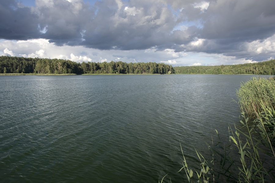Jezioro Zbiczno pojezierze Brodnickie