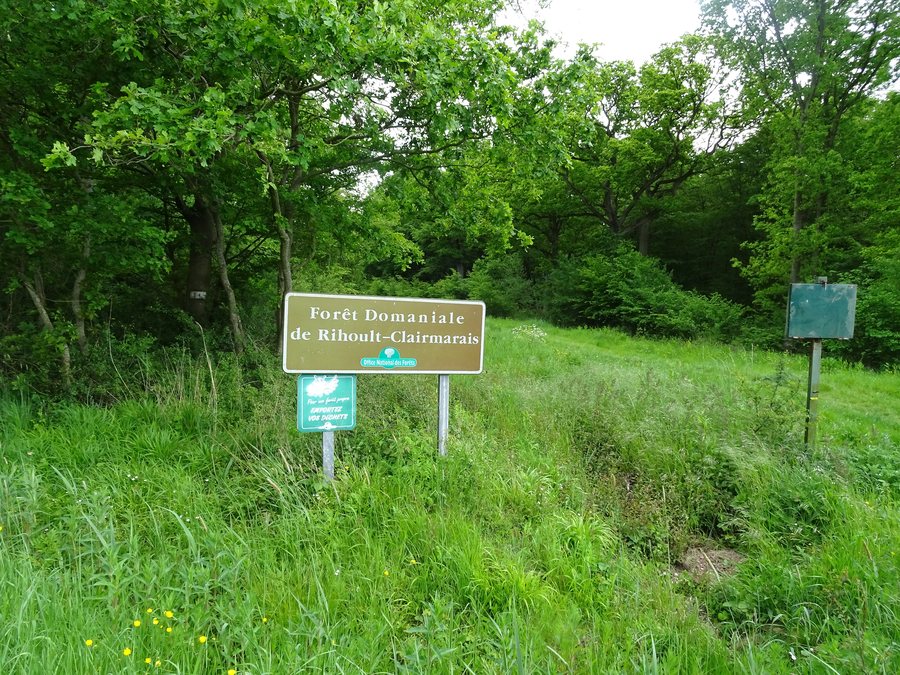 File:Clairmarais.- Forêt domaniale de Rihoult Clairmarais (1).jpg