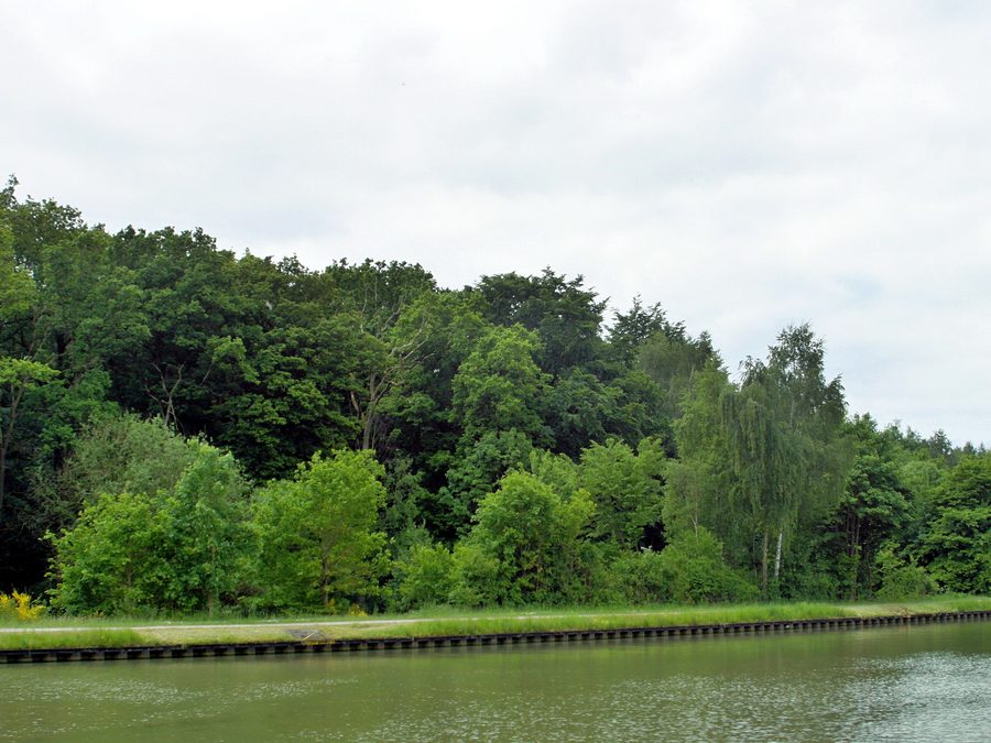 Fohlenstall nature reserve in Haster Wald on the Mittelland Canal