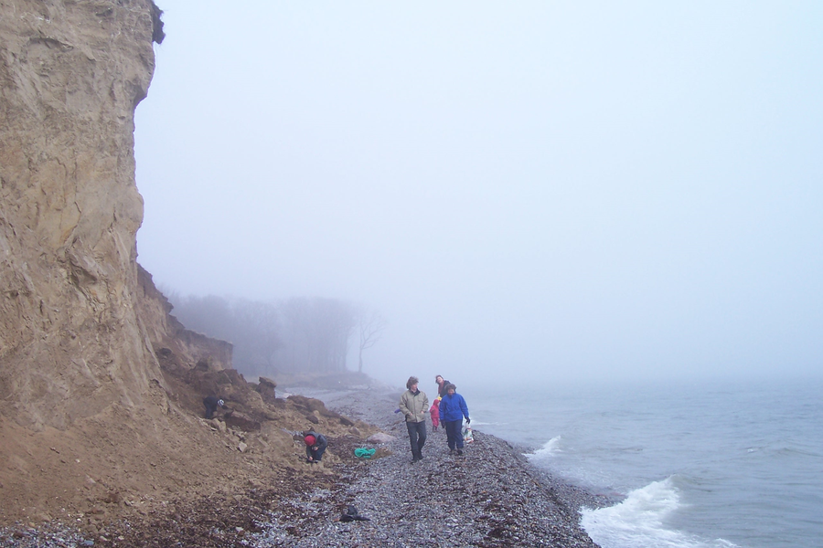 Coastal erosion on the coast of Langeland