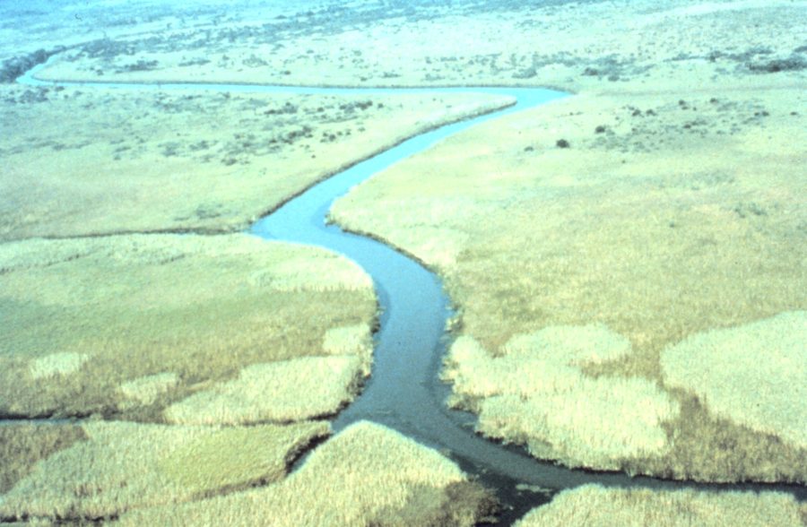 Aerial view of the Apalachicola National Estuarine Research Reserve in Florida
