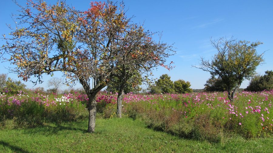 File:21190 Meloisey, France - panoramio.jpg