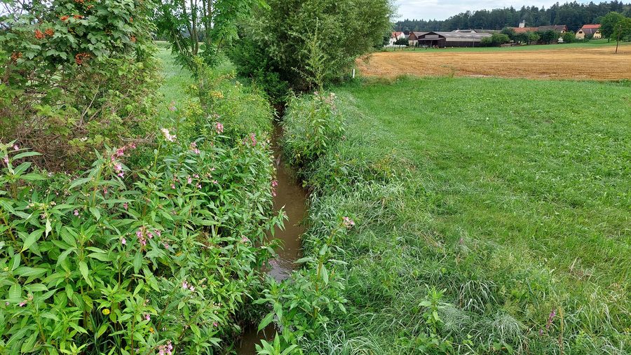 Der Lusenbach an der L336 bei Attendorf in der Steiermark