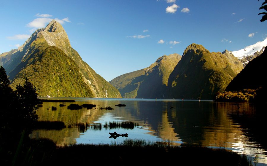Milford Sound with dark fjord water and forested mountain slopes in Fiordland