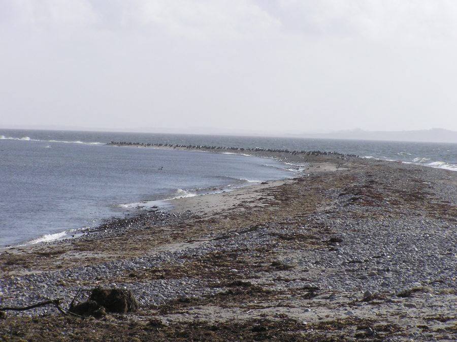 Southern tip of Sejerø with coastal landscape