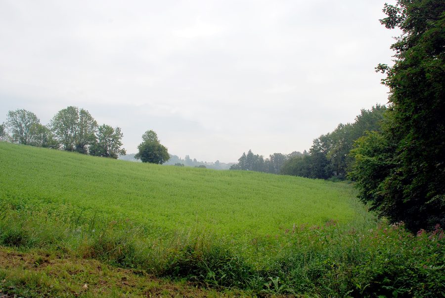 Landscape near Tobis in Preding in western Styria