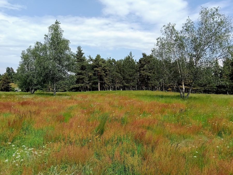 File:Landscape Fontans 01.jpg