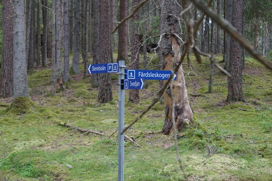 Nature reserve Slereboåns dalgång in Risveden, municipality of Ale