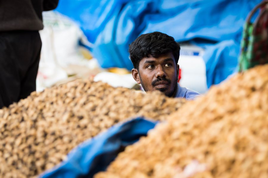 Market stalls at the Kadlekai Parishe peanut festival in Basavanagudi, Bengaluru