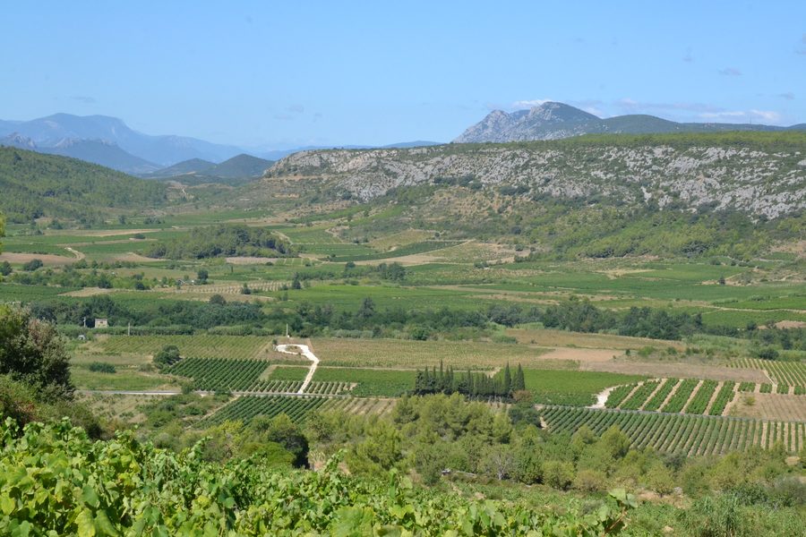 Landscape of the Verdouble Valley near Tautavel