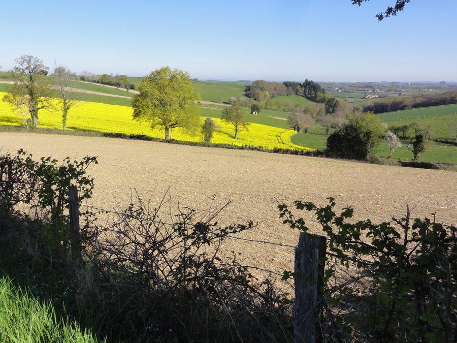Rural landscape at Bussières-près-Pionsat, in the Puy-de-Dôme