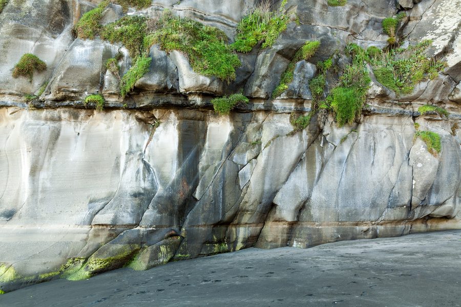 Cliffs at Muriwai Beach on the west coast near Auckland