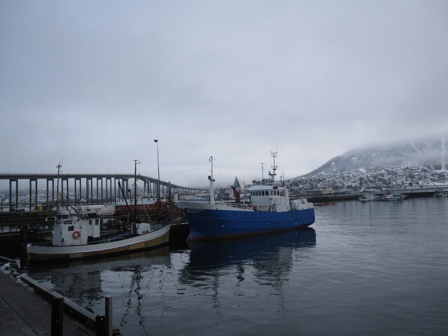 Harbor of Tromsø with fishing boats and the Tromsø Bridge in the background