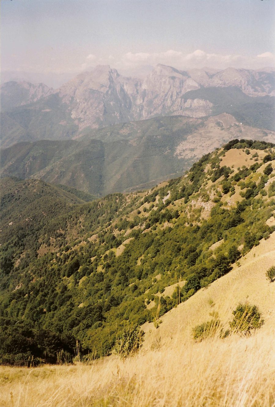 View from Monte Ceppo of Monte Toraggio and Monte Pietravecchia