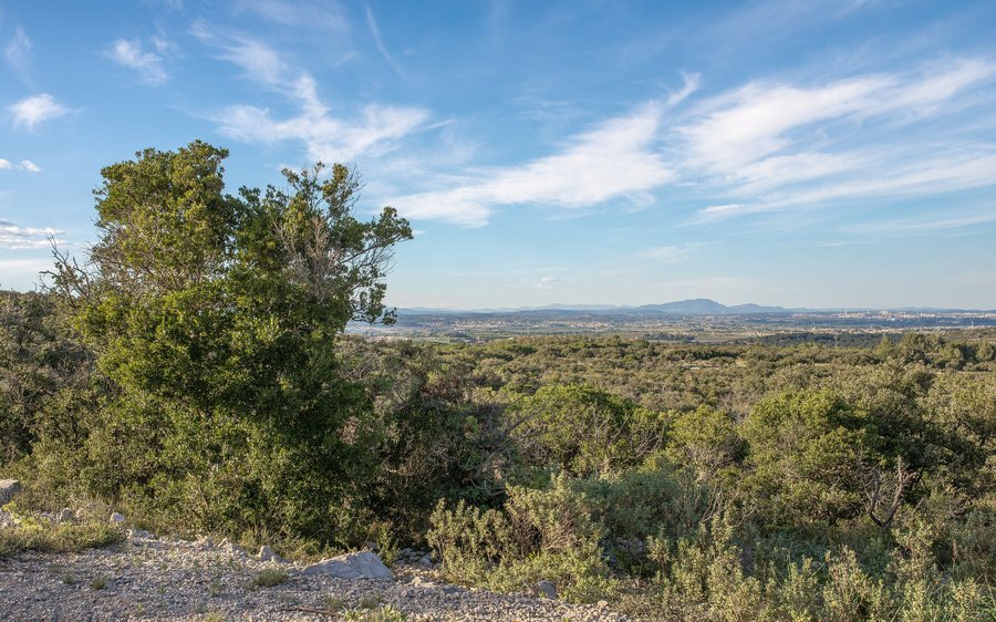 File:Fabrègues Plain, Fabrègues, Hérault 01.jpg
