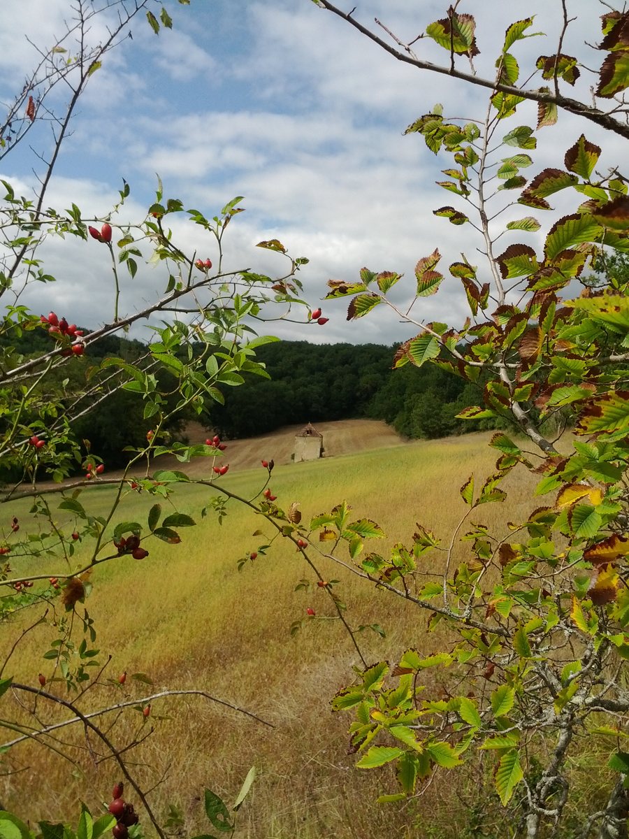 File:Moulin de Laclotte - Castelculier.jpg