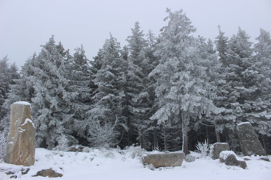 File:Panère Saint-Régis-du-Coin.jpg