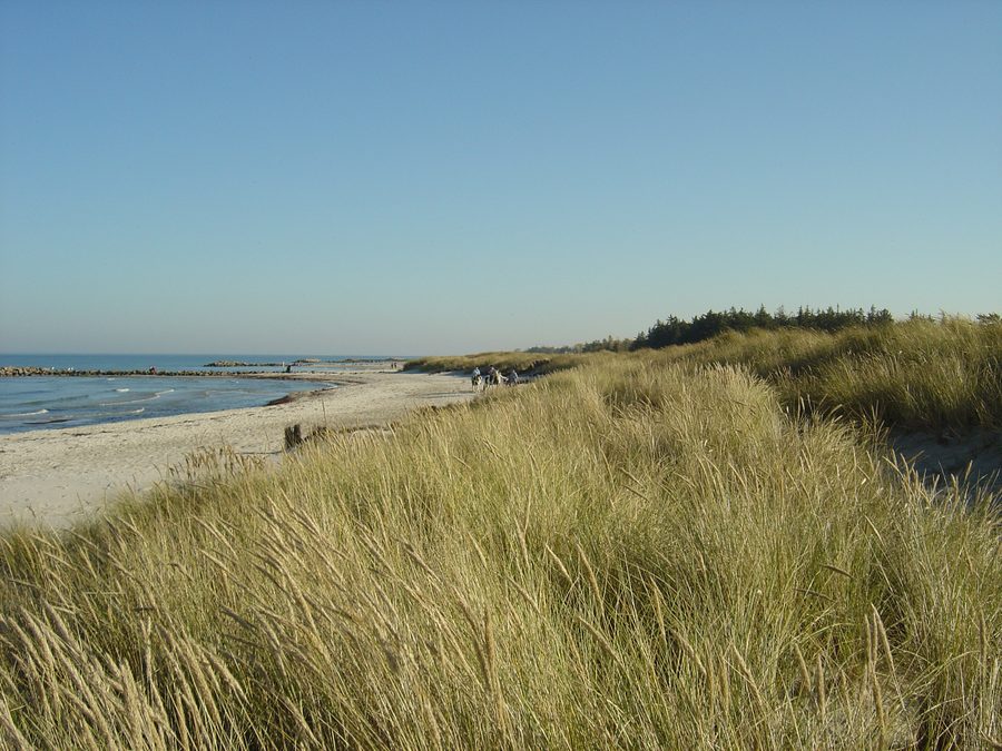 Strand in Heidkate mit Pferden am Ostseestrand