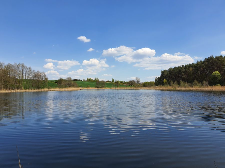 Teich Biskupice lewe in Biskupice, Großpolen