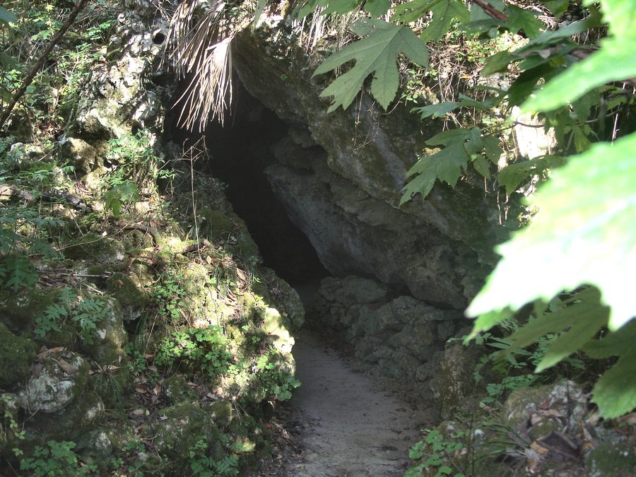 Exit from the caverns at Florida Caverns State Park in Marianna, Florida