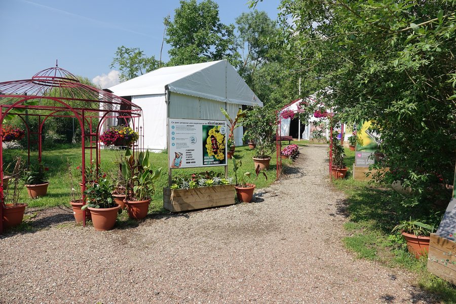 File:Jardin des papillons (Hunawihr) (2).jpg