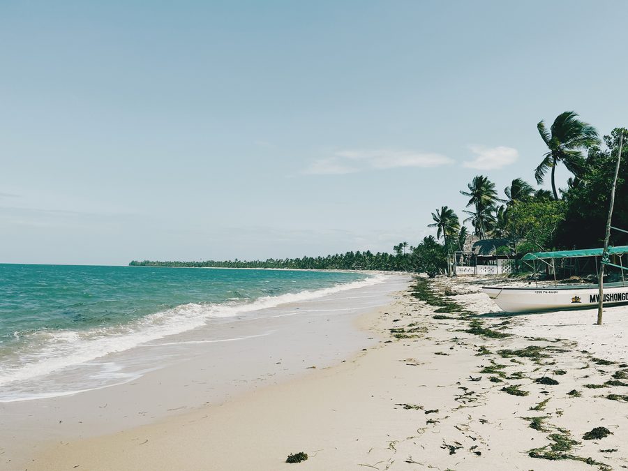 Beach near Pangani