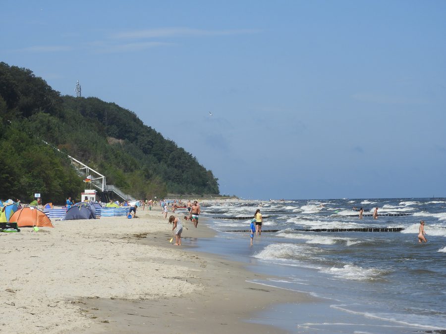 Beach at Kölpinsee near Loddin with a view of Streckelsberg