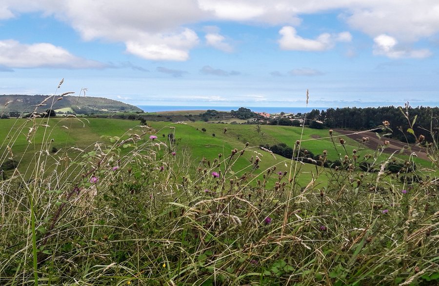 File:Prellezo desde Abanillas (44571439812).jpg