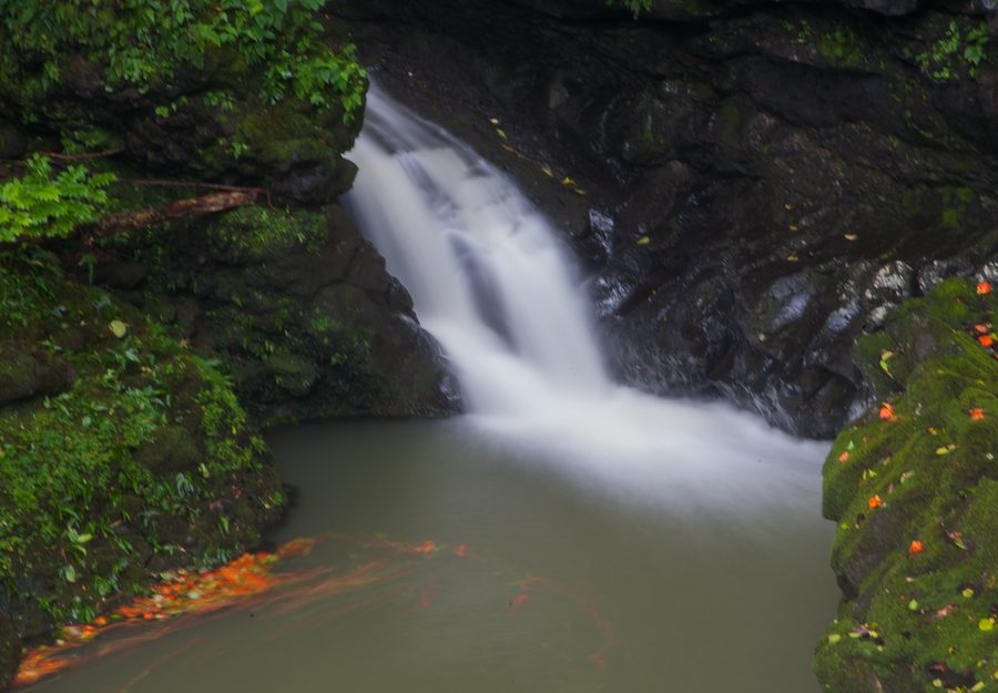 Small waterfall on the Road to Hana on Maui