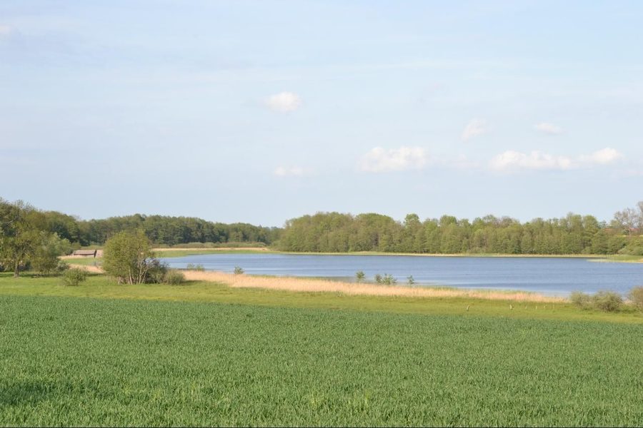 Rittermannshagener See in the Mecklenburgische Schweiz