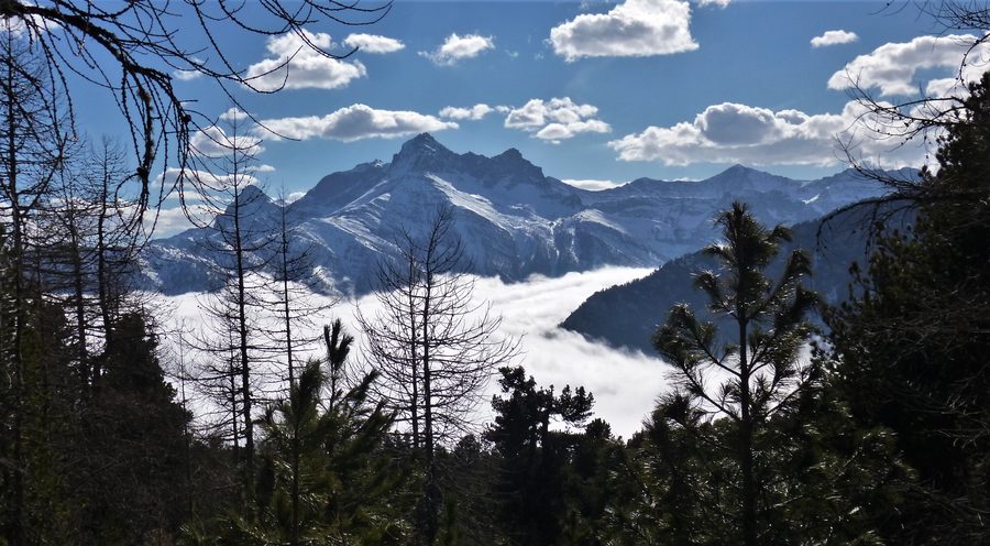 Winteransicht des Pelvo d’Elva vom Bosco dell’Allevè